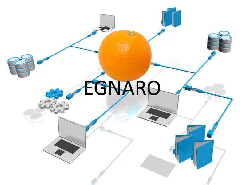Logo EGNARO
